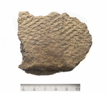 AI-4366:1789 Asva linnamägi, tekstiilikeraamika (f. Jaana Ratas)