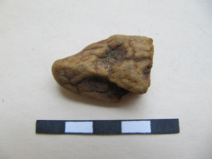 AI-2635:551 Poola, Ostroteka juhuleid (f. Mari-Liis Posti)
