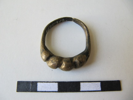 AI-2643:362 Karuste juhuleid (f. Mari-Liis Posti)