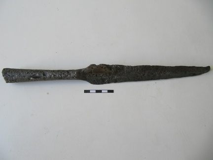 AI-2643:66 Orinõmme juhuleid (f. Mari-Liis Posti)
