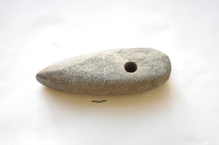 AI-4246:1 Hirmuste juhuleid (f. Tuuli Kurisoo)