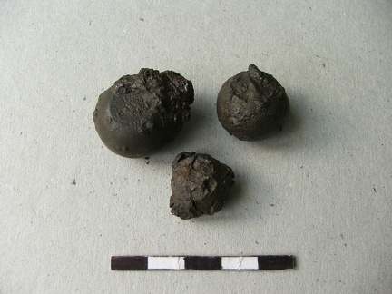 AI-2552:26 Malõ kalme (f. Mari-Liis Posti)
