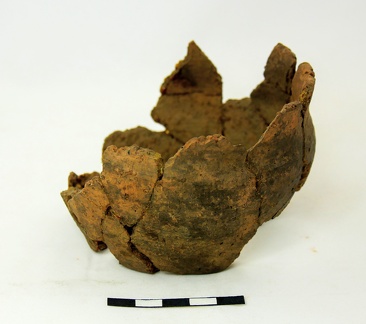 AI-5295:VI:46 Raatvere kalme (f. Mari-Liis Posti)