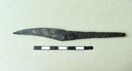 AI-2519:15 Järni kalme (f. Mari-Liis Posti)