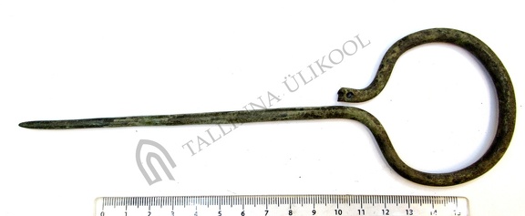 AI-4339:162 Liiva-Putla kalme, karjasekeppnõel (f. Tarvi Toome)