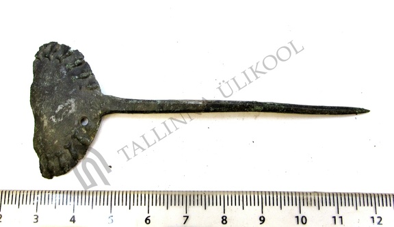 AI-4426:395 Preedi kalme (f. Tarvi Toome)