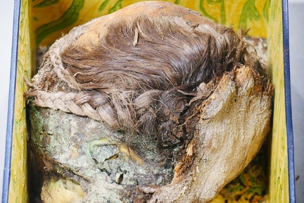 P1130554