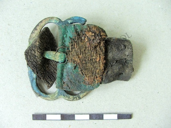AI-4116:277 Kaberla kalme (f. Mari-Liis Posti)