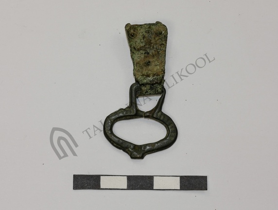 AI-K 84:67 Saaremaa juhuleid (f. Mari-Liis Posti)