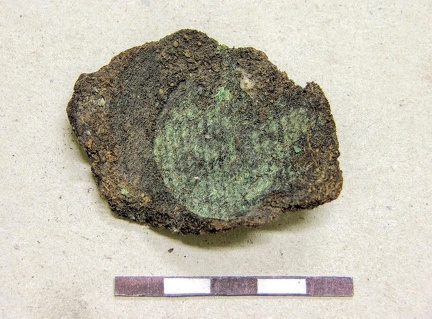 AI-4116:190 Kaberla kalme (f. Mari-Liis Posti)