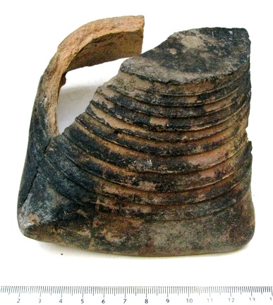 AI-6480:183 Rahukohtu 4, Tallinn (f. Tarvi Toome)
