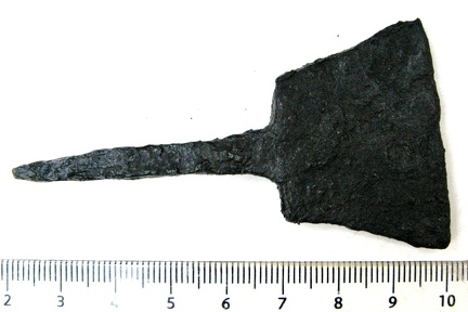 AI-6961:336 Linnakse kalme, alasimeisel (f. Tarvi Toome)