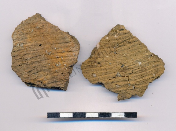 AI-2495:2 Jõesuu linnamägi (f. Mari-Liis Posti)