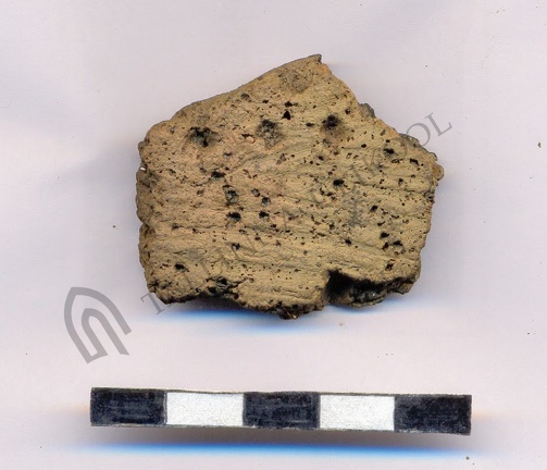 AI-2495:10 Jõesuu linnamägi (f. Mari-Liis Posti)