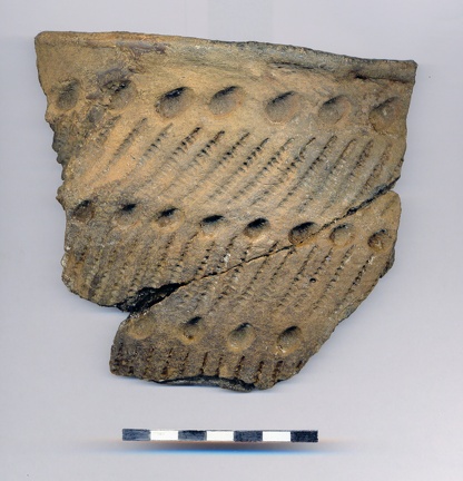 AI-2495:19 Jõesuu linnamägi (f. Mari-Liis Posti)