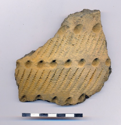 AI-2495:19 Jõesuu linnamägi (f. Mari-Liis Posti)