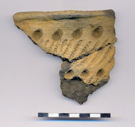 AI-2495:19 Jõesuu linnamägi (f. Mari-Liis Posti)
