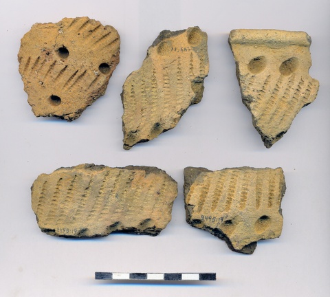 AI-2495:19 Jõesuu linnamägi (f. Mari-Liis Posti)