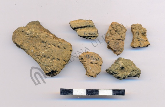 AI-2495:26 Jõesuu linnamägi (f. Mari-Liis Posti)