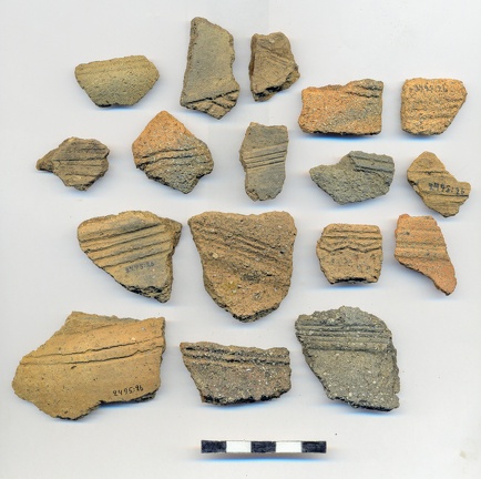 AI-2495:26 Jõesuu linnamägi (f. Mari-Liis Posti)