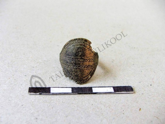 AI-4116:194 Kaberla kalme (f. Mari-Liis Posti)