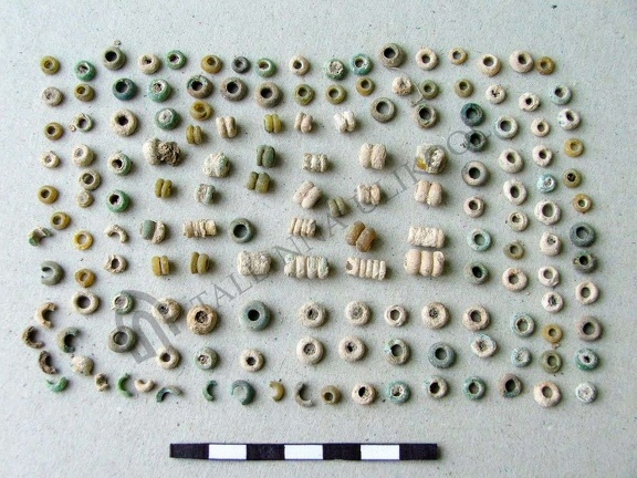 AI-4116:134 Kaberla kalme, klaashelmed (f. Mari-Liis Posti)