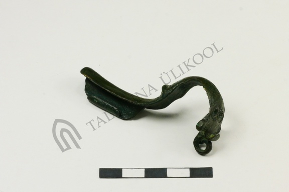AI-3172:921 Jäbara kalme (f. Mari-Liis Posti)
