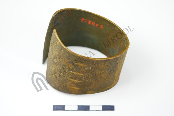 AI-2502:6 Paiküla kalme (f. Mari-Liis Posti)