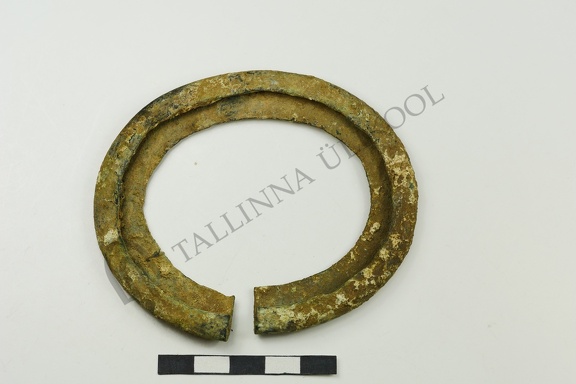 AI-2604:294 Jäbara kalme (f. Mari-Liis Posti)