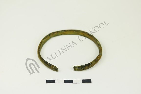 AI-2604:439 Jäbara kalme (f. Mari-Liis Posti)