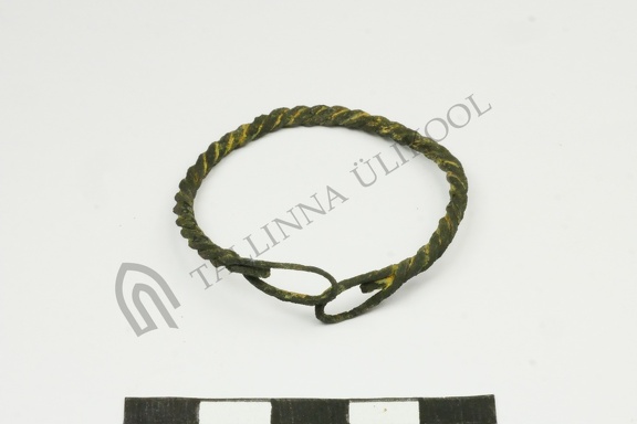 AI-2654:9 Viski kalme, Petseri (f. Mari-Liis Posti)