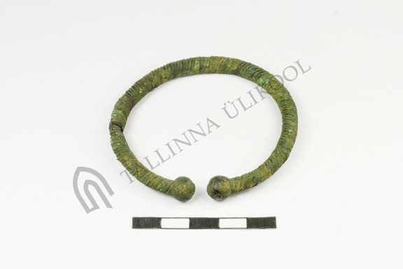 AI-3089:1 leiukoht teadmata (f. Mari-Liis Posti)