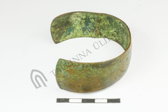 AI-3090:1 Vana-Alasoo juhuleid (f. Mari-Liis Posti)