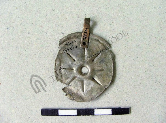 AI-4116:198b/6 Kaberla kalme (f. Mari-Liis Posti)