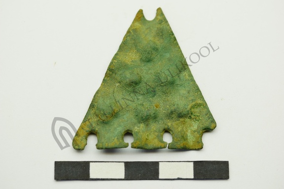AI-8322:1 Igavere juhuleid (f. Mari-Liis Posti)
