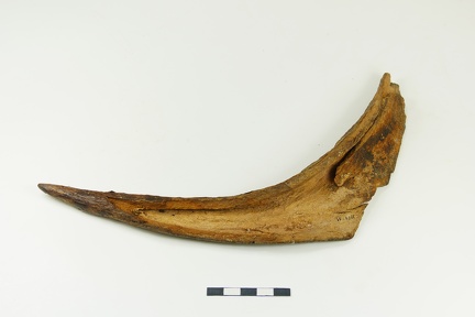 AI-3974:11 Tamula asula, tootmisjääk (f. Mari-Liis Posti)