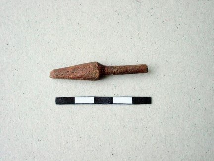AI-4116:1 Kaberla kalme (f. Mari-Liis Posti)