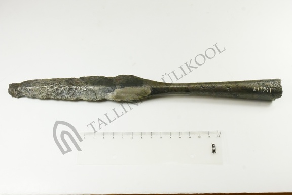 AI-2479:1 Aesku juuhuleid (f. Mari-Liis Posti)