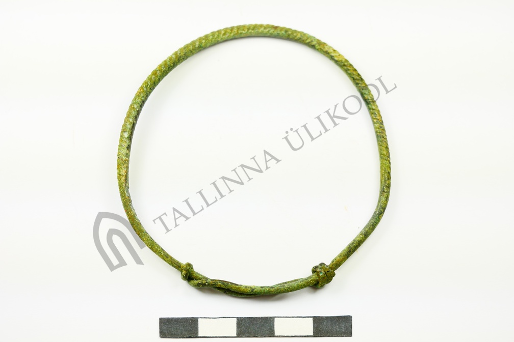 AI-2436:11 Malõ kääpad (f. Mari-Liis Posti)