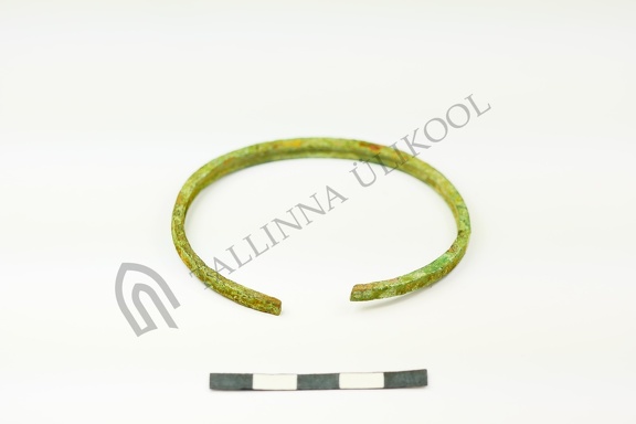 AI-2604:512 Jäbara tarandkalme (f. Mari-Liis Posti)