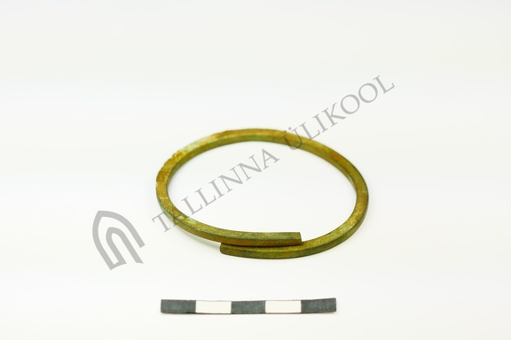 AI-2617:21 Jäbara tarandkalme (f. Mari-Liis Posti)