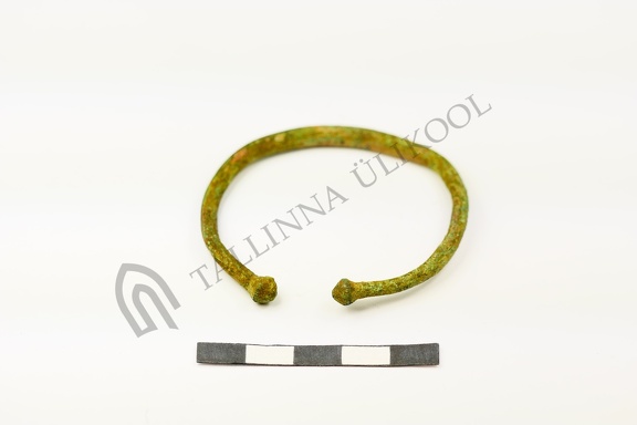 AI-2617:112 Jäbara tarandkalme (f. Mari-Liis Posti)