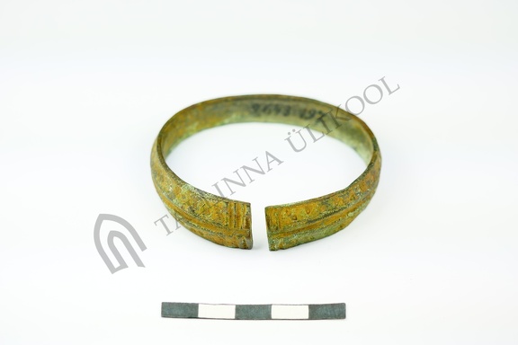 AI-2643:197 Leiukoht teadmata, juhuleid (f. Mari-Liis Posti)