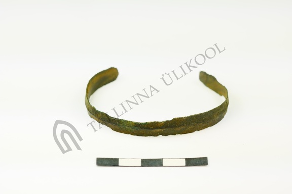 AI-2767:8 Hannuste kalme (f. Mari-Liis Posti)