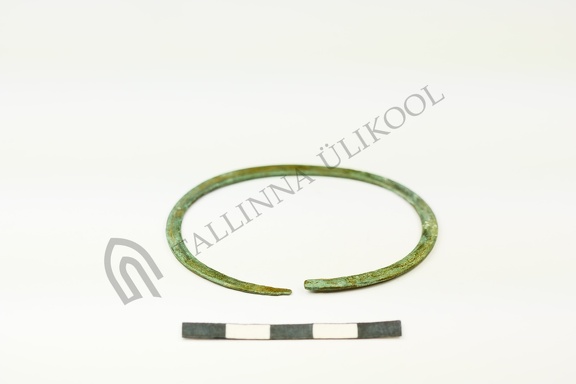 AI-2767:22 Hannuste kalme (f. Mari-Liis Posti)