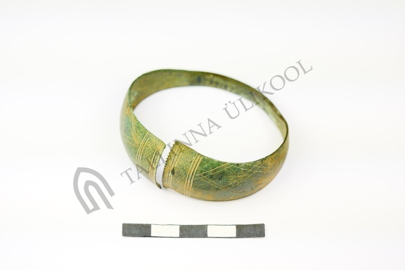 AI-2794:27 Leiukoht teadmata, juhuleid (f. Mari-Liis Posti)