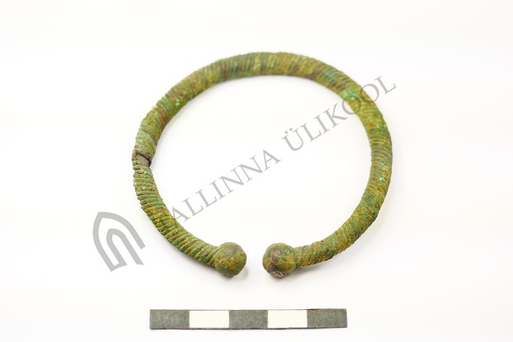 AI-3089:1 Leiukoht teadmata, juhuleid (f. Mari-Liis Posti)