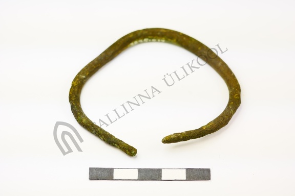 AI-3235:213 Paali tarandkalme (f. Mari-Liis Posti)