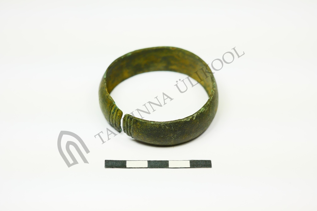 AI-4161:140 Virunuka tarandkalme (f. Mari-Liis Posti)