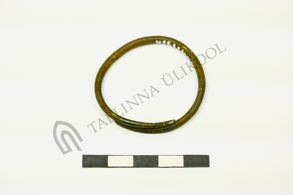 AI-4161:471 Virunuka tarandkalme (f. Mari-Liis Posti)
